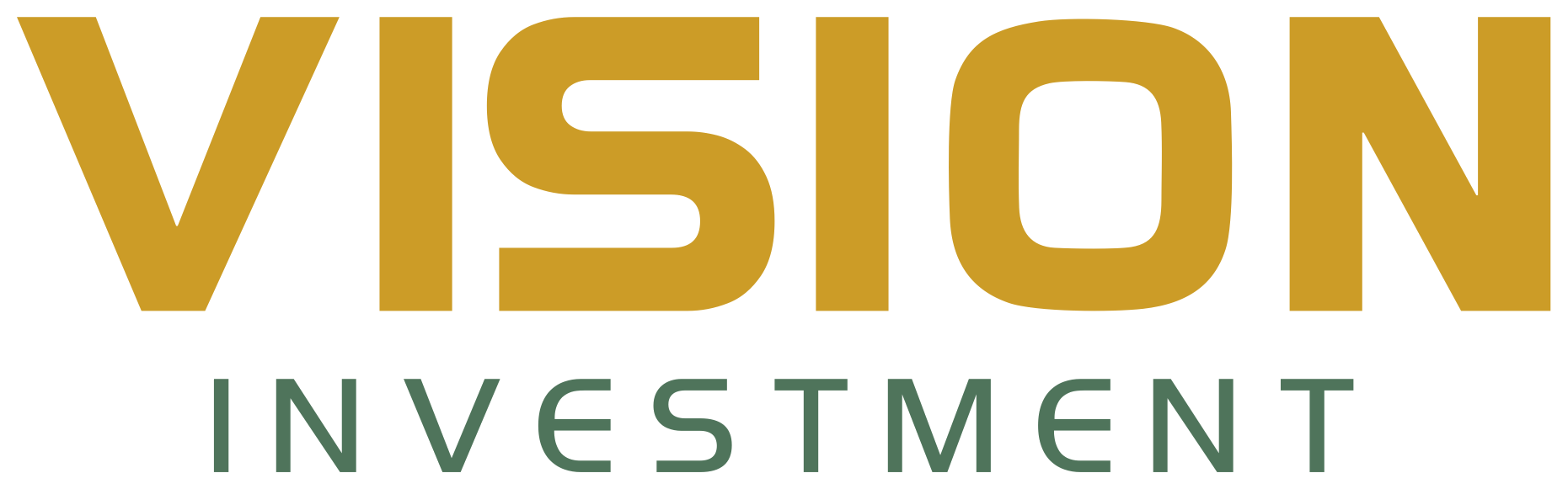 Vision Investment